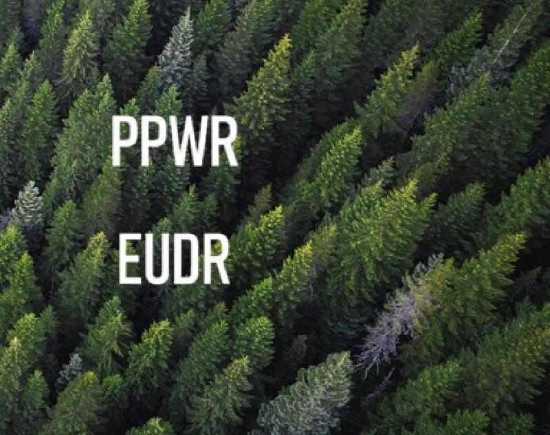 Jak PPWR i EUDR wpływa na firmy i ich produkty? 